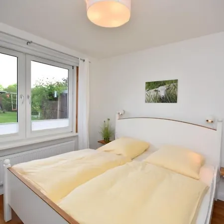 Boettgerei Duenenkeiler *